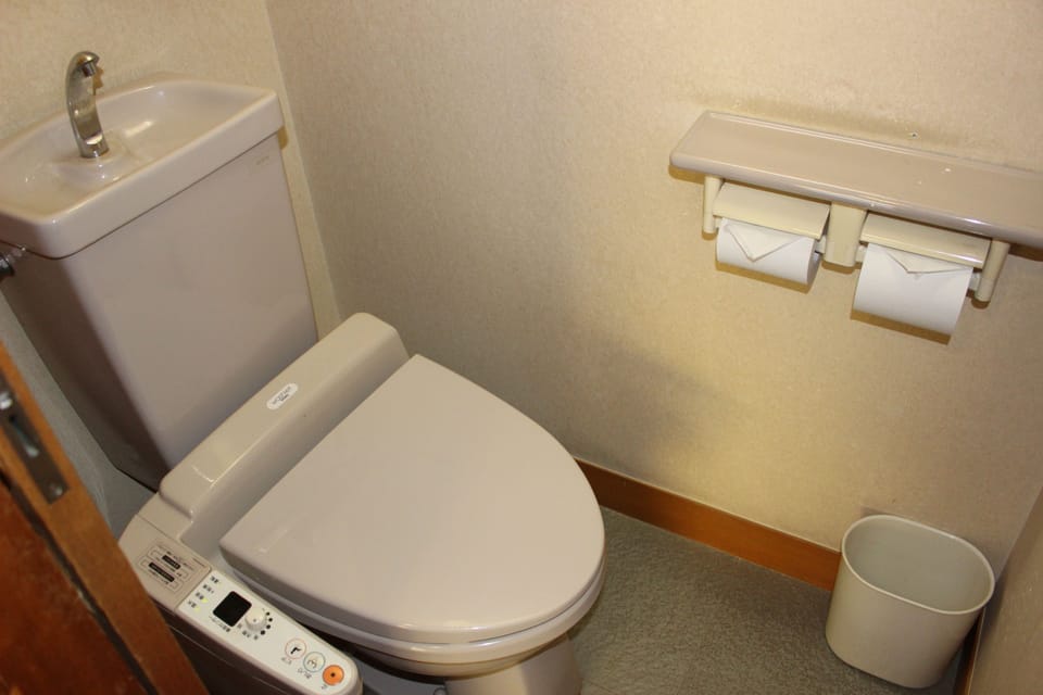 Combined shower/tub, free toiletries, hair dryer, slippers