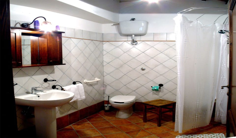 Apartment, 1 Bedroom, Hill View | Bathroom | Shower, free toiletries, hair dryer, bidet