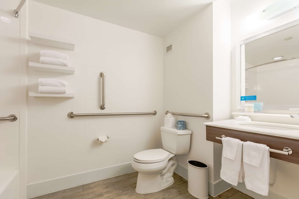 One Queen Bed, Non-Smoking, Accessible | Bathroom | Combined shower/tub, hydromassage showerhead, free toiletries