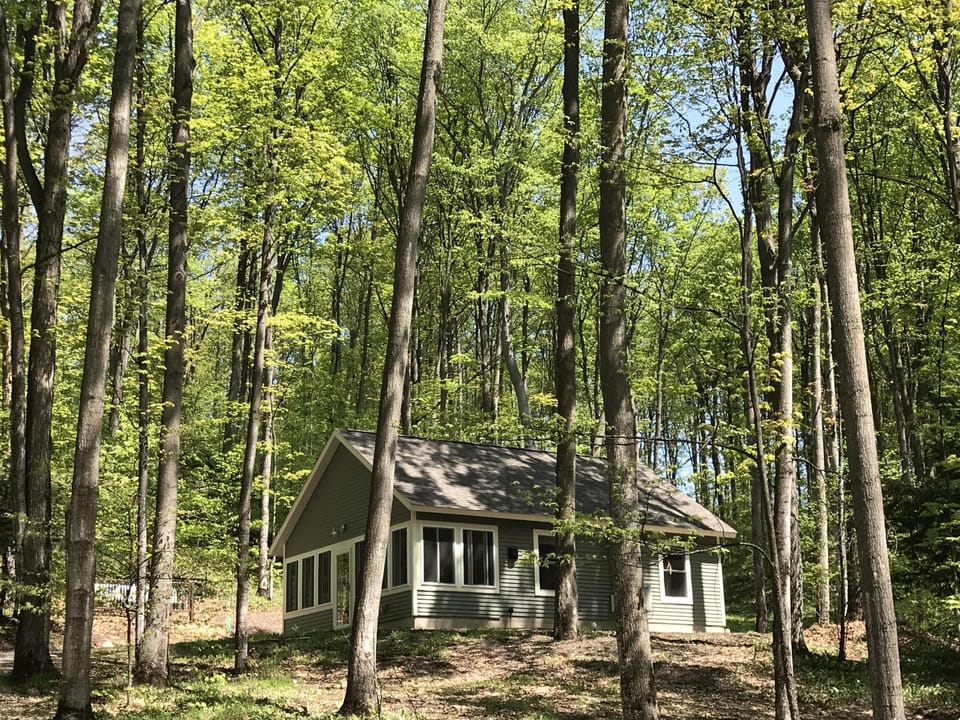 Summer time as you drive up to the cabin