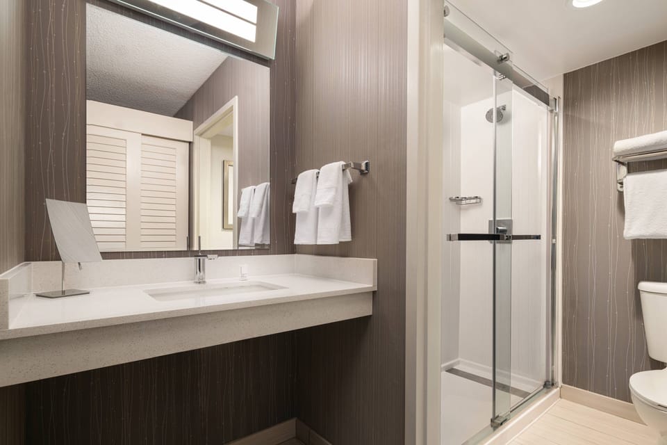 Hair dryer, towels
