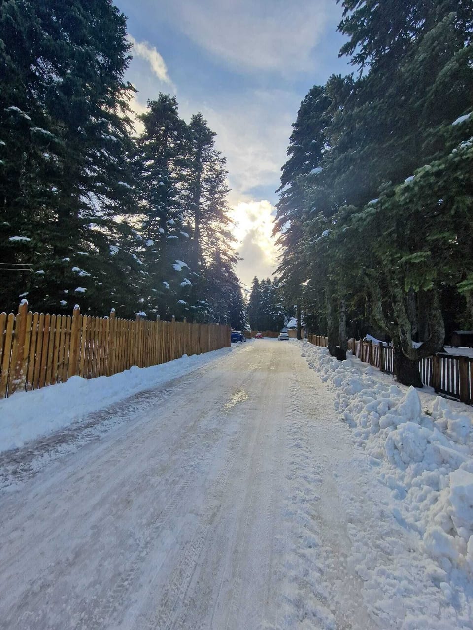 Snow and ski sports