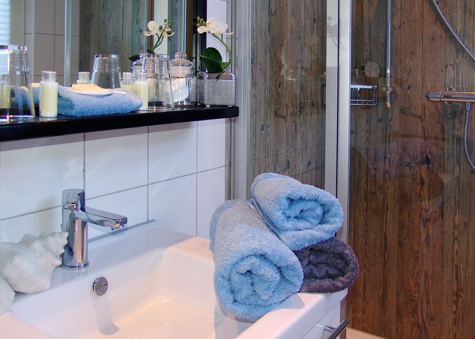 Shower, free toiletries, hair dryer, towels