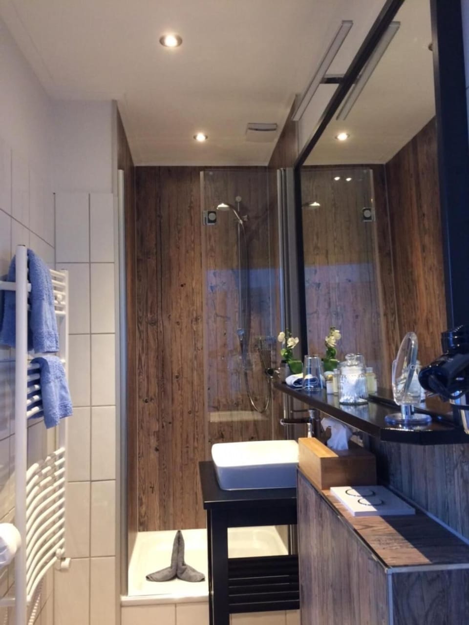 Shower, free toiletries, hair dryer, towels