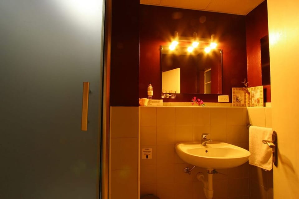 Shower, free toiletries, slippers, towels