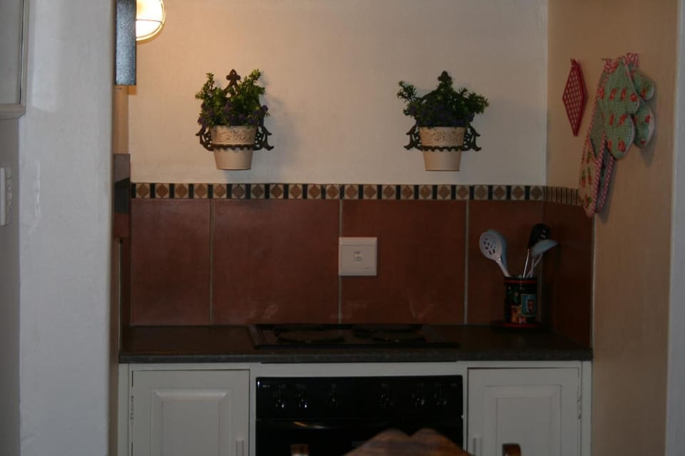 Microwave, oven, stovetop, electric kettle
