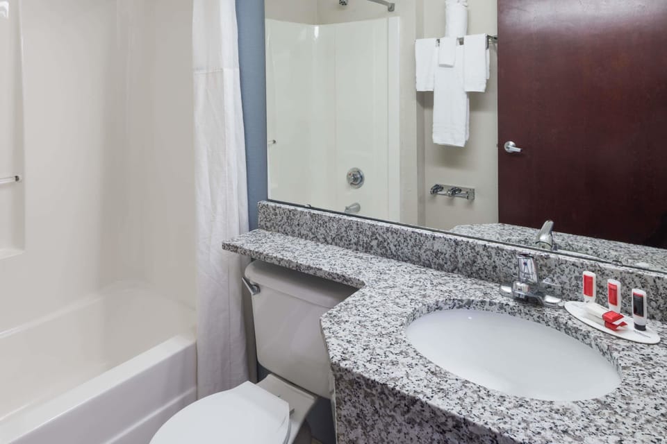 Eco-friendly toiletries, hair dryer, towels