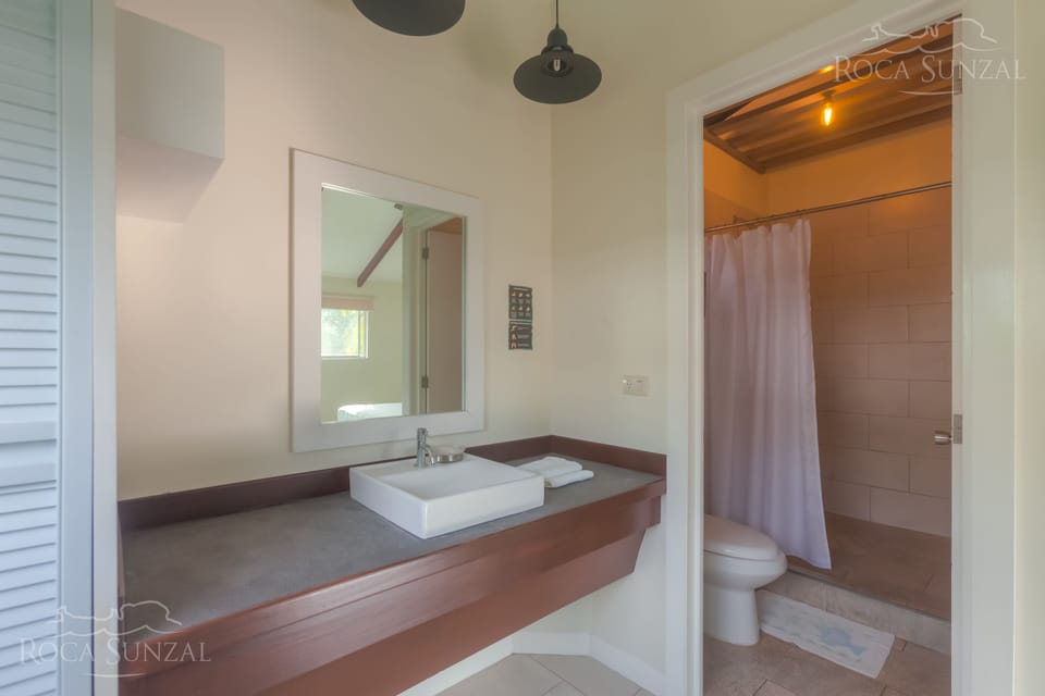 Deluxe King | Bathroom | Shower, free toiletries, towels