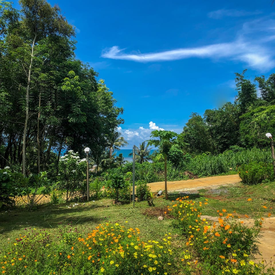 Garden view