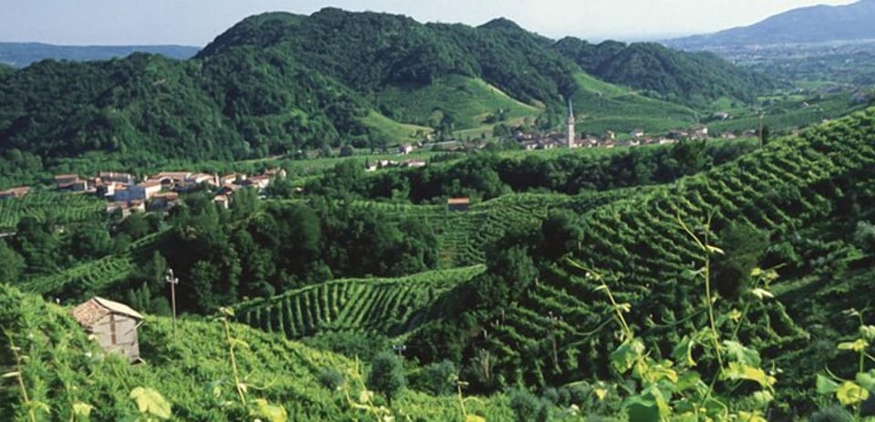 Land view from property
