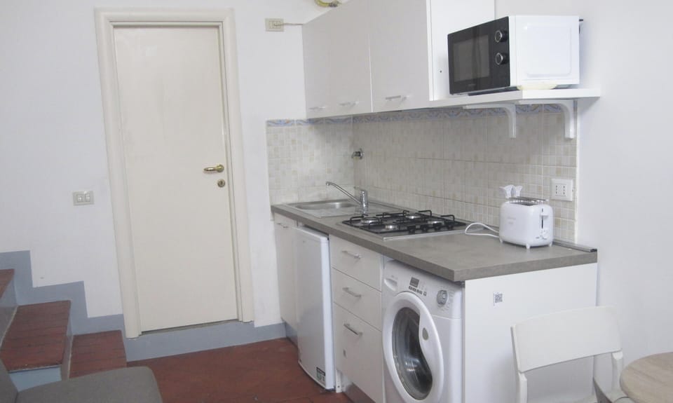 Apartment | Private kitchen | Fridge, microwave, oven, stovetop