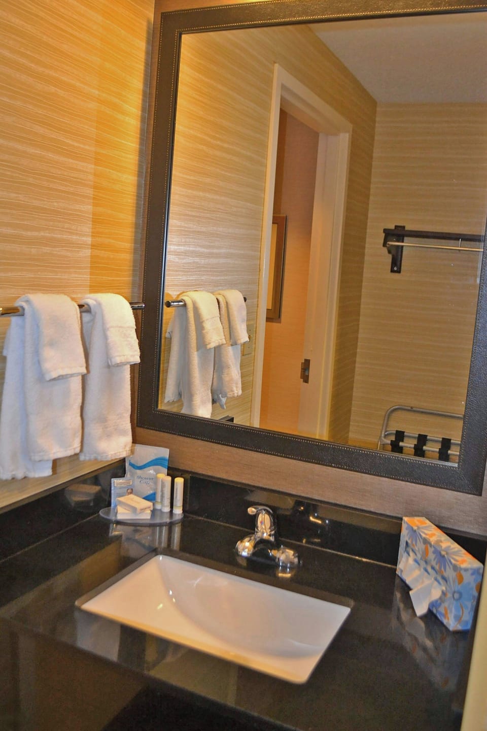 Combined shower/tub, free toiletries, hair dryer, towels