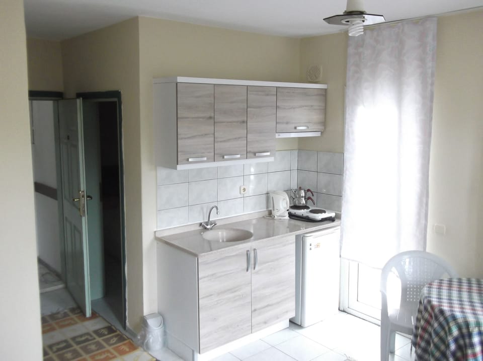 Apartment | Private kitchen | Stovetop, electric kettle, cookware/dishes/utensils