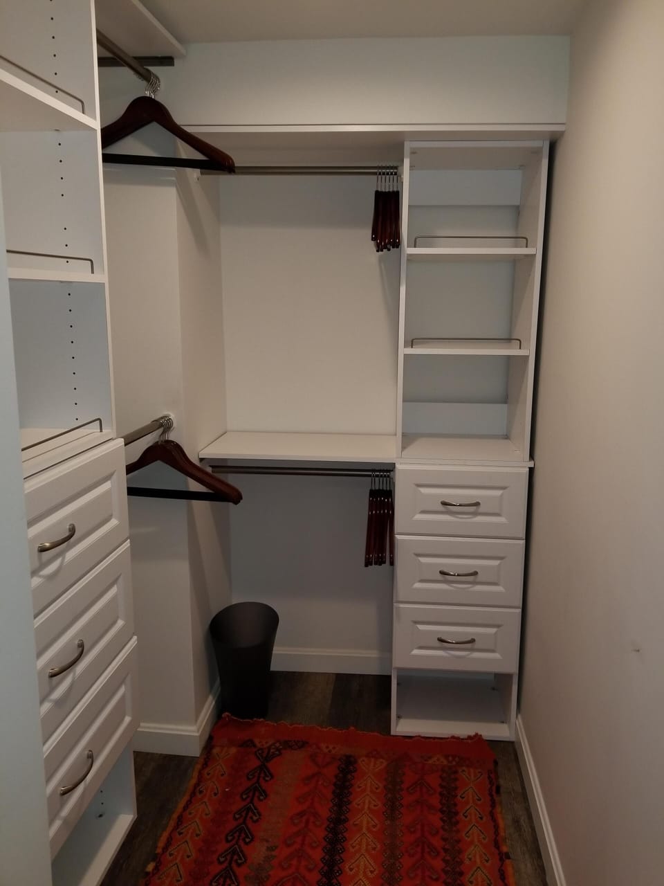 Walk in Closet in bedroom