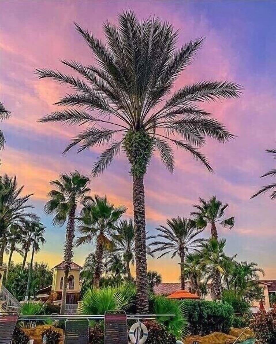 Beautiful sunsets 