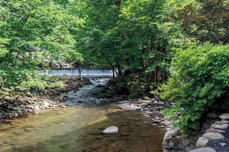 so peaceful beside the river