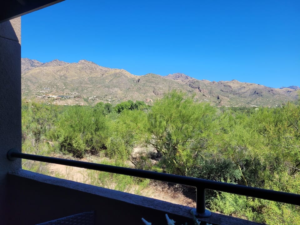 View from property