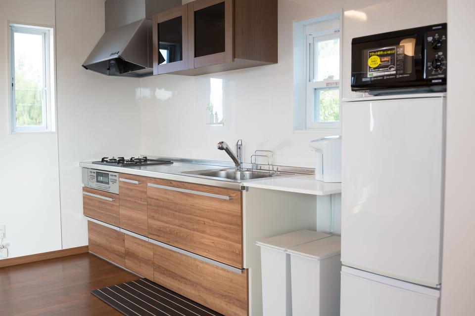 Fridge, microwave, stovetop, electric kettle