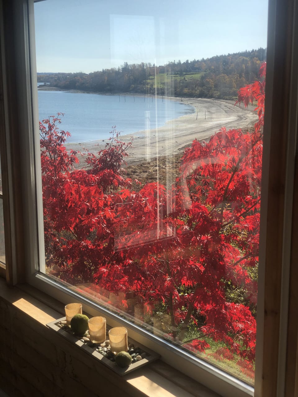 View from dining room window