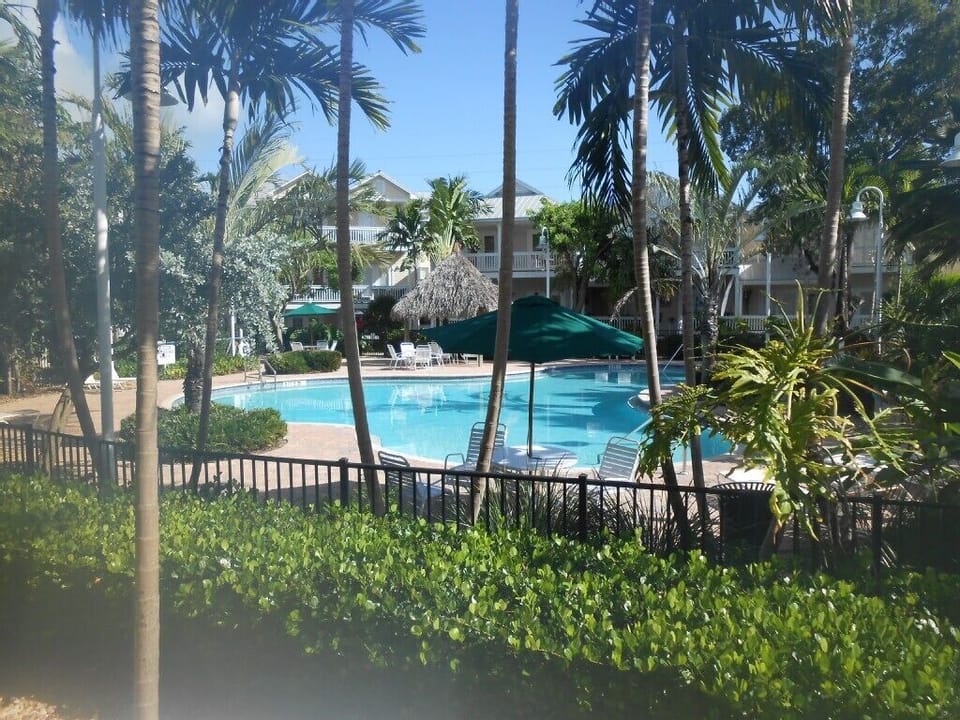 Second picture of pool and Tiki