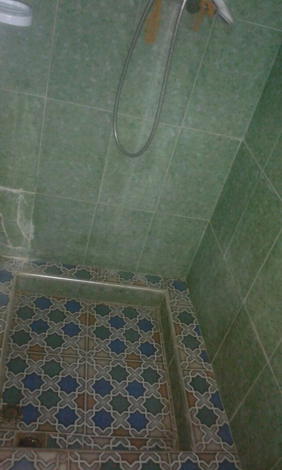 Shower, free toiletries, bidet, towels