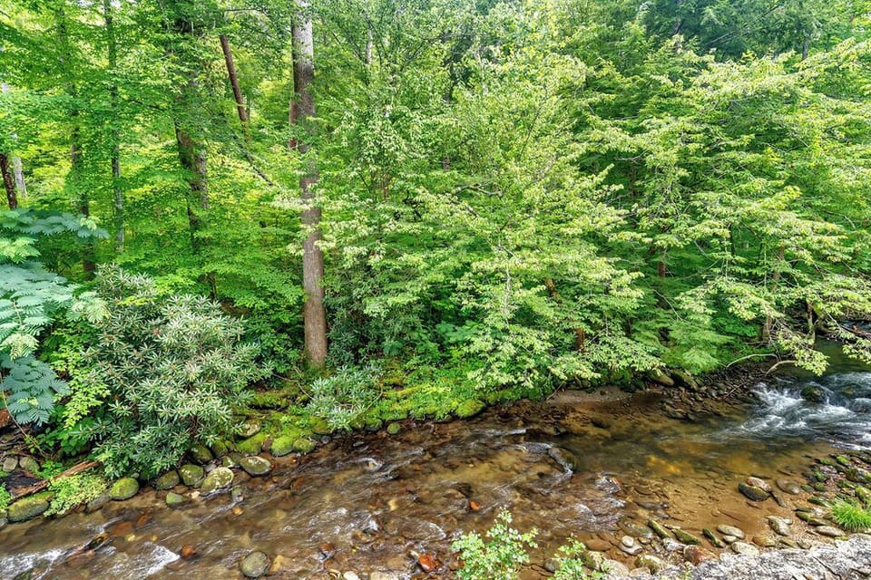 great view of the river