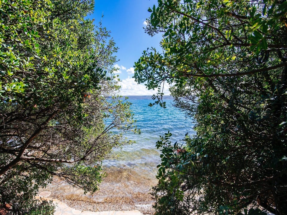 View from Holiday Home [summer]