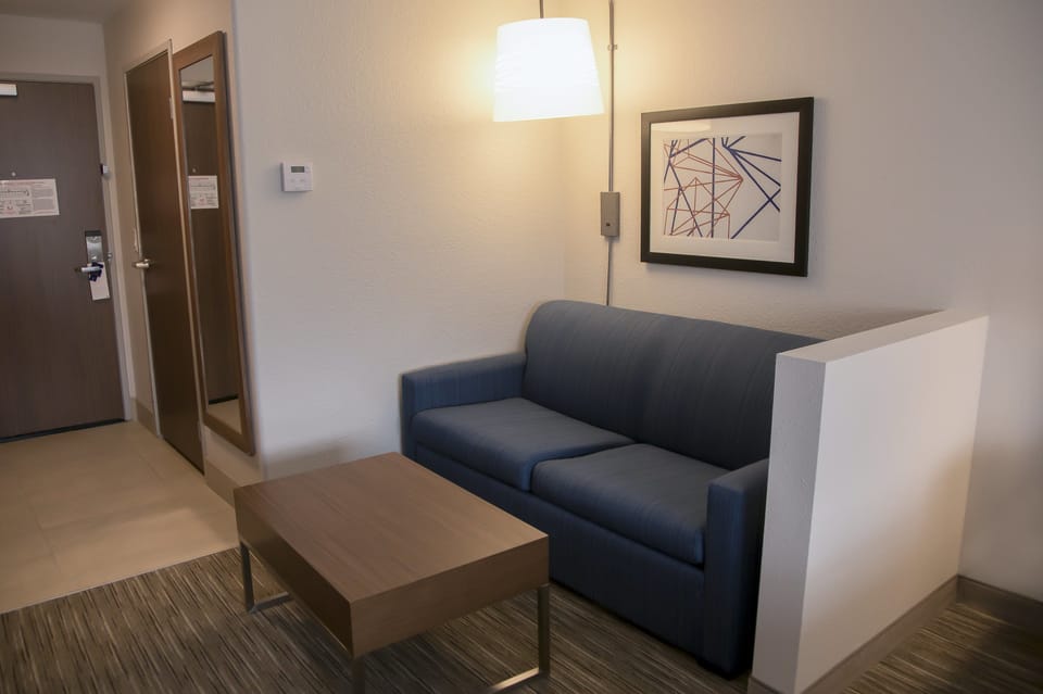 Suite, 1 King Bed with Sofa bed | Room amenity