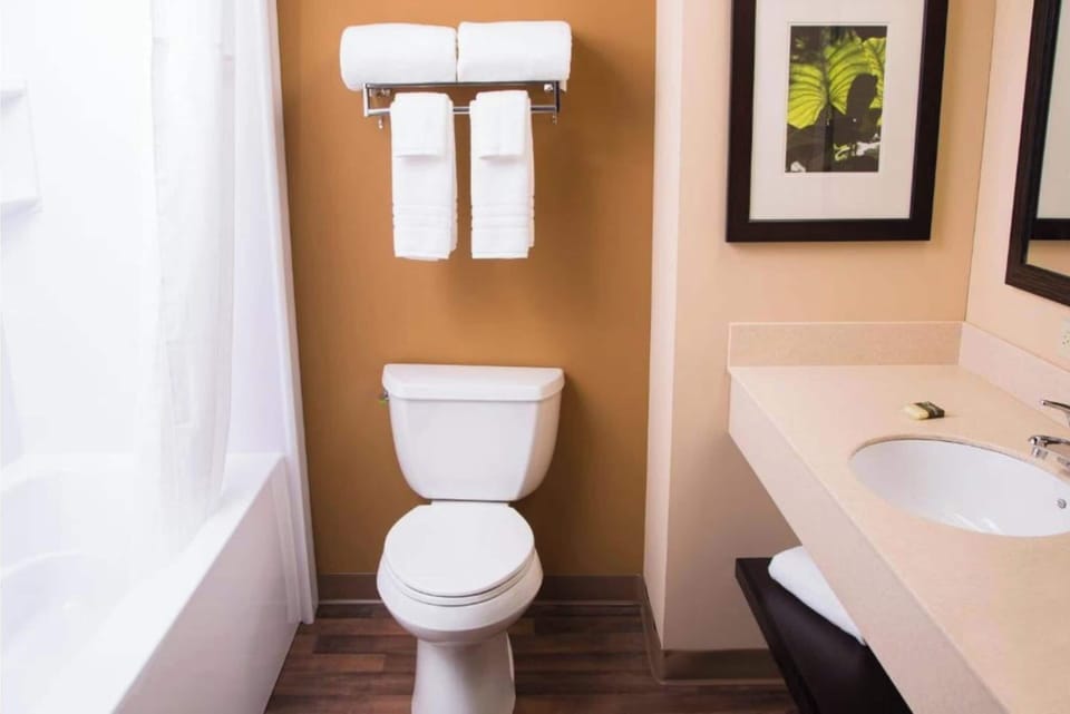 Separate tub and shower, free toiletries, towels, toilet paper