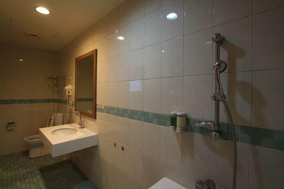 Shower, free toiletries, hair dryer, slippers