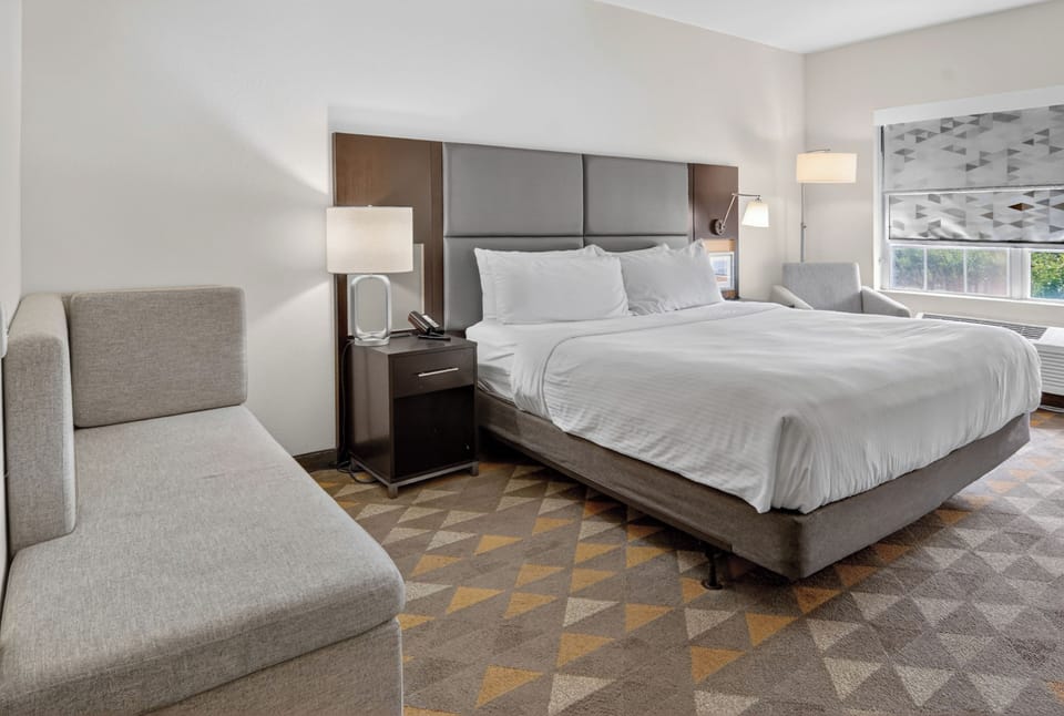 Standard Room, 1 King Bed, Accessible (Mobility) | 1 bedroom, hypo-allergenic bedding, in-room safe, desk