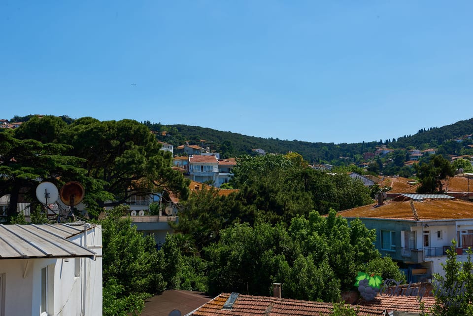 Double Room, Terrace, Sea View | View from room