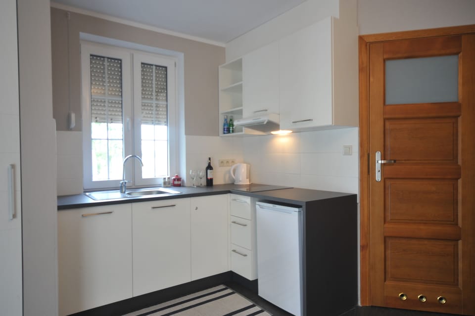Apartment, 2 Bedrooms, Lake View | Private kitchenette