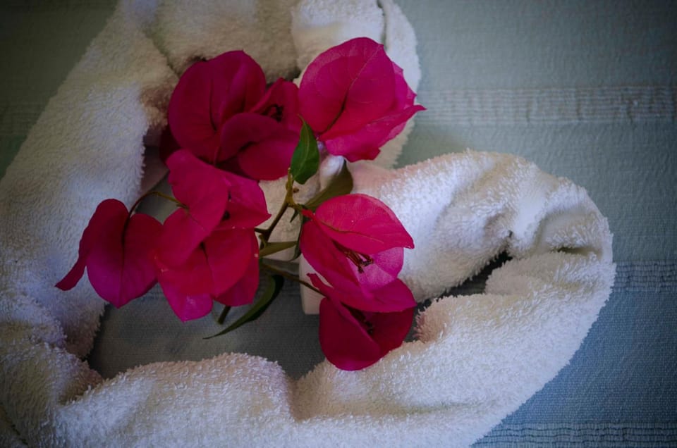 Free toiletries, hair dryer, bidet, towels