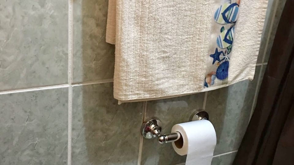 Hand towel and toilet paper in front of at reach from toilet set