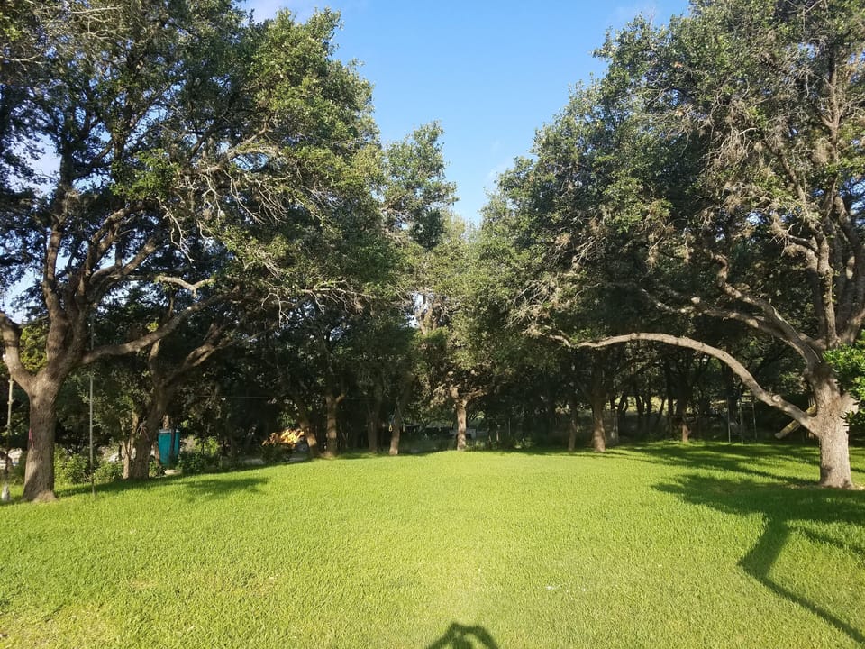 about 1.5 acres with a large flat area to run around