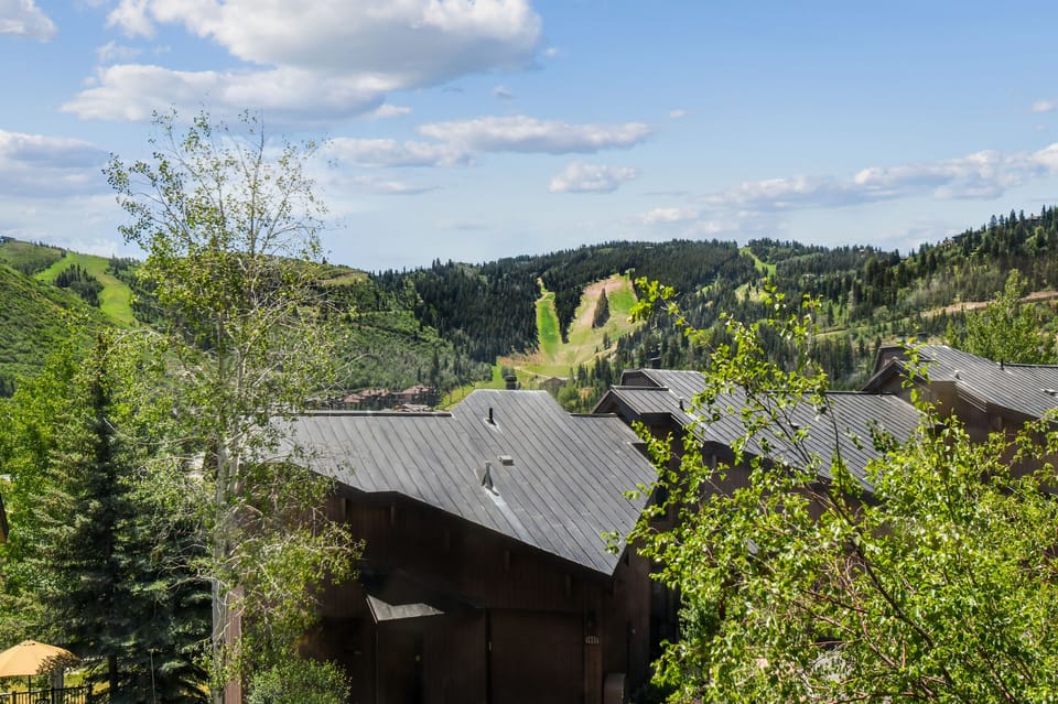 Summer Resort View.  Less than 1 mile walk. Complimentary Ski season shuttle.