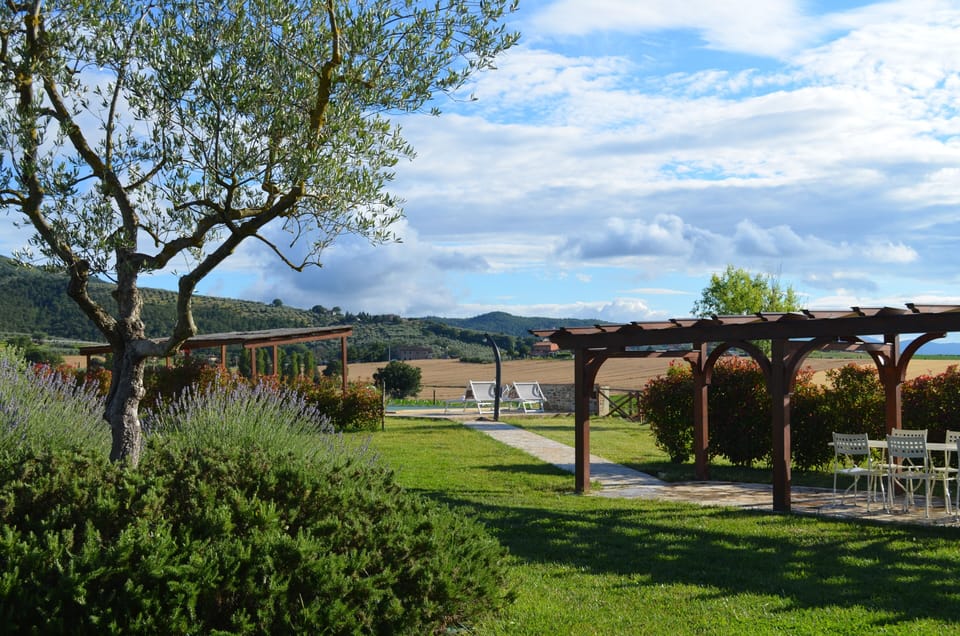 Our pergolas