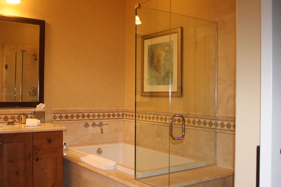 Master shower and soaking tub