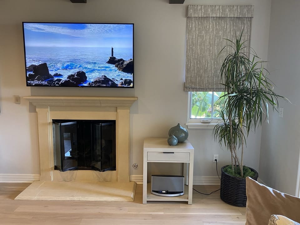 Living room TV and fireplace