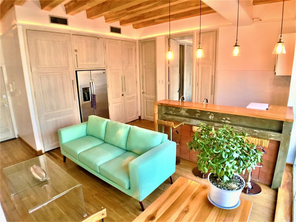 Luxury Apartment, 1 Bedroom, River View | Living area | 50-inch Smart TV with digital channels, TV, Netflix
