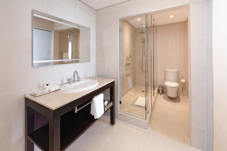 Suite | Bathroom | Shower, free toiletries, hair dryer, towels