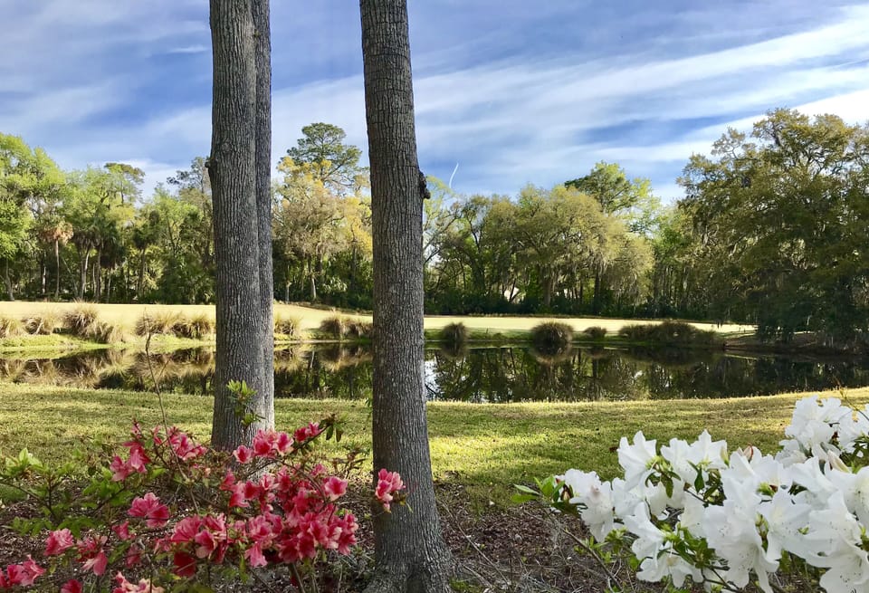 View from our wraparound back patio! Golf course and lagoon!