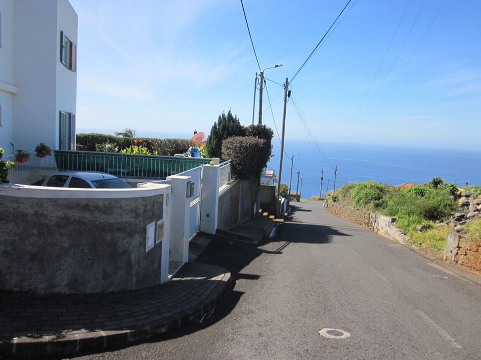 Street in front of house.