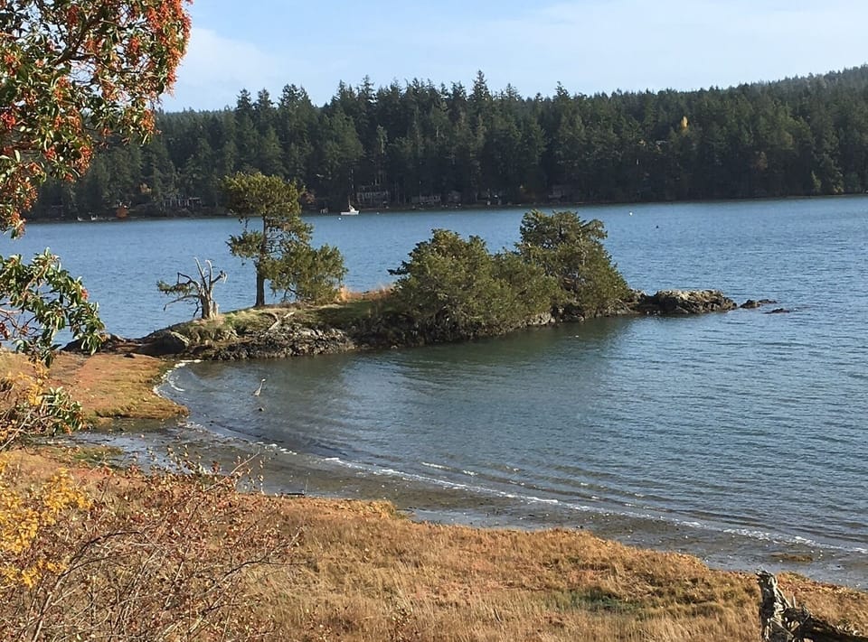 Picnic Island & Heron Point
