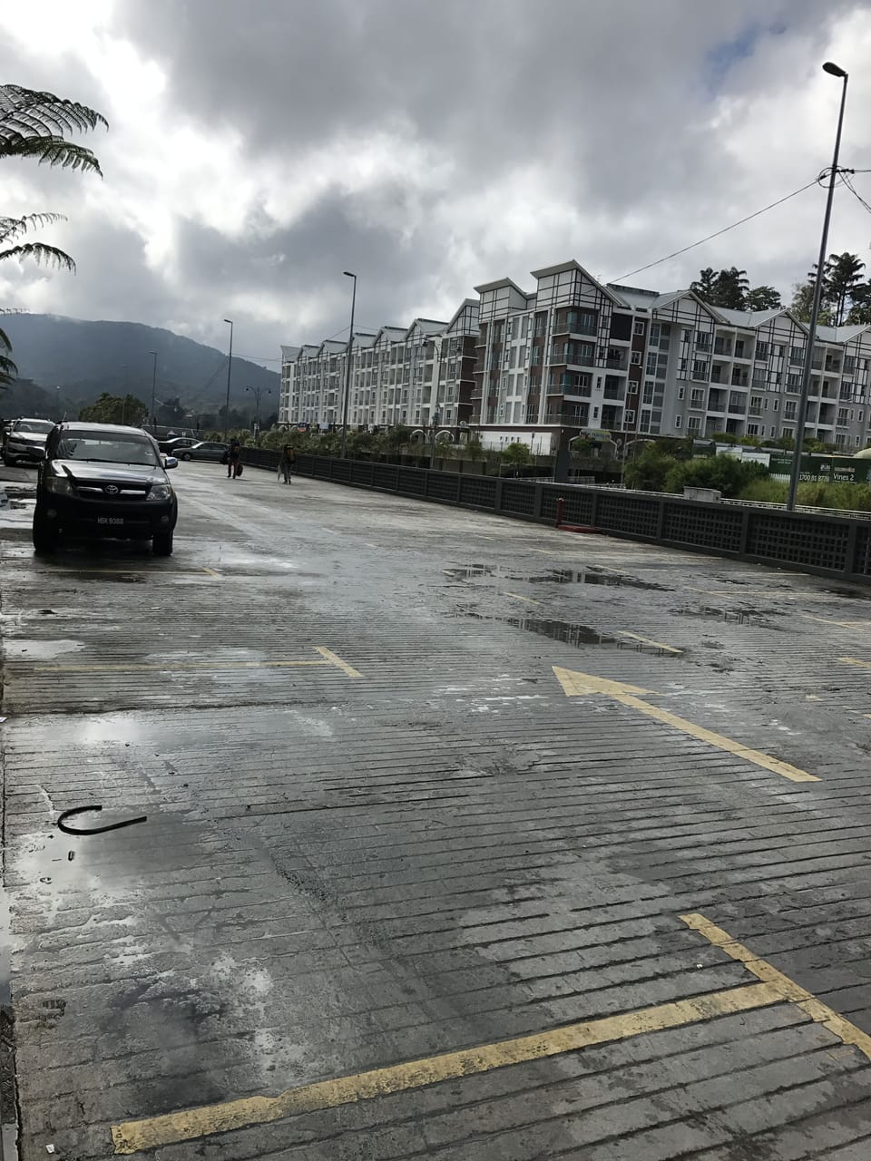 Free self parking