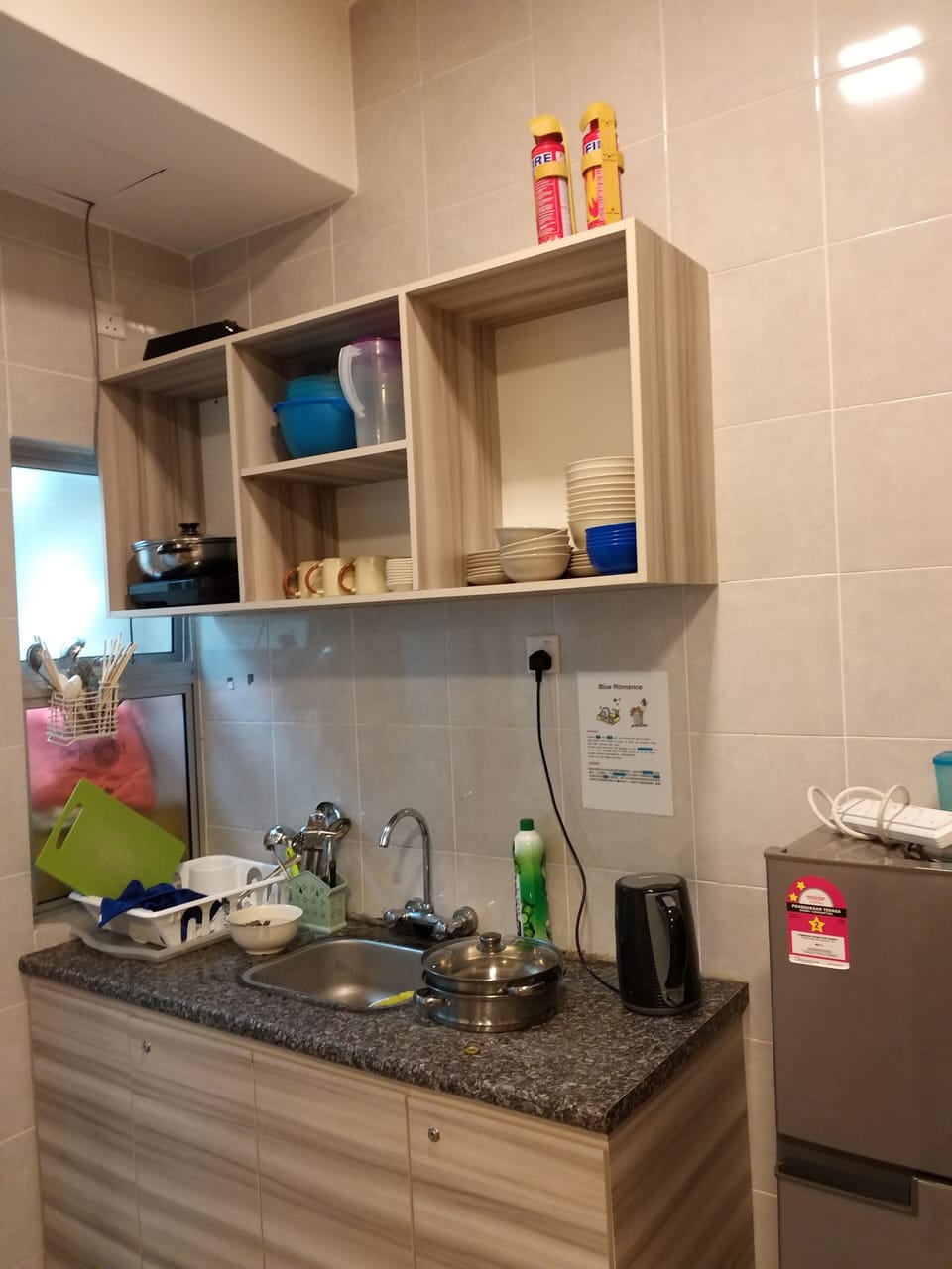 Two Bedroom Apartment  | Private kitchen | Fridge, microwave, electric kettle, rice cooker