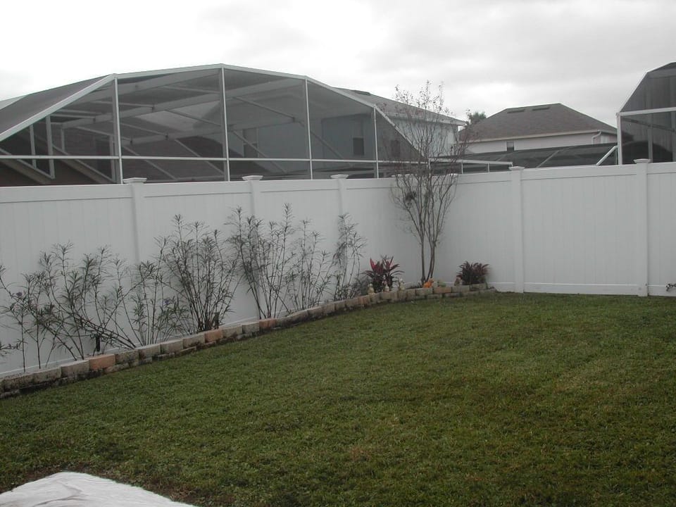 Back yard