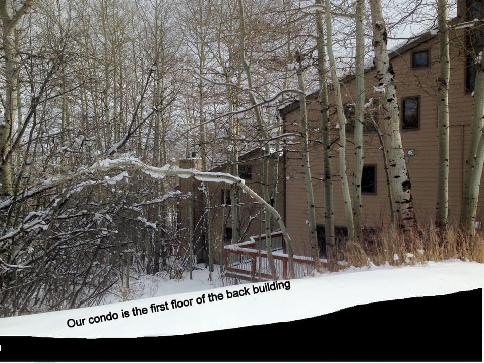 Pic from road-we are lower floor of back building-a more secluded aspen setting