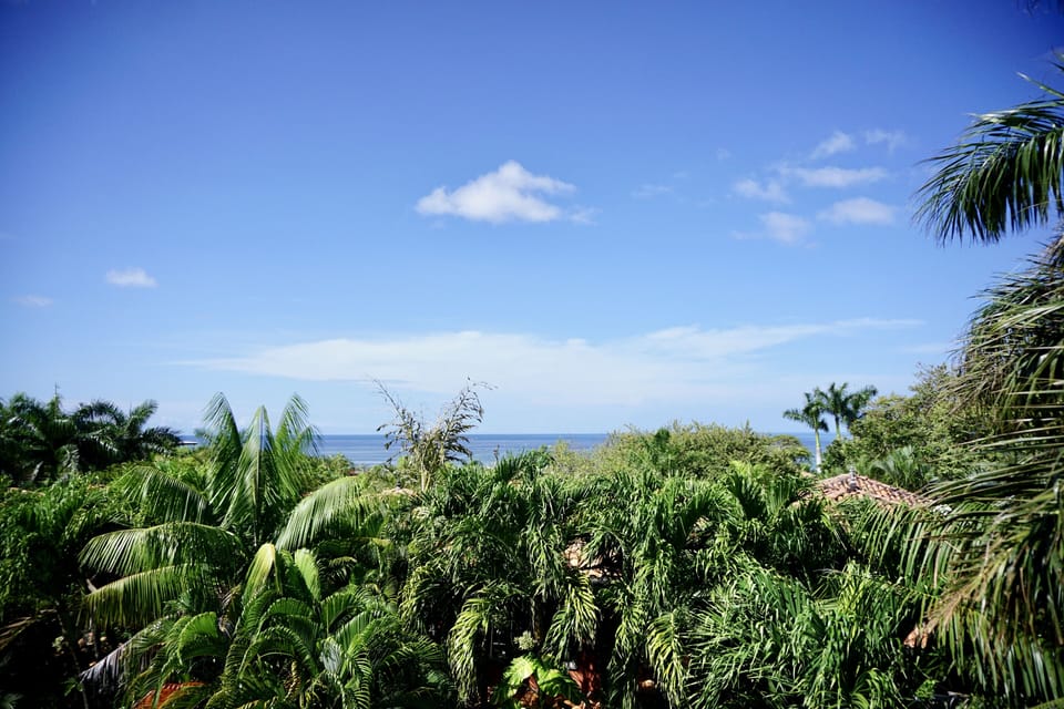 Ocean view. 